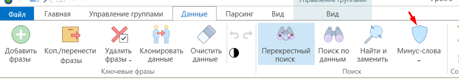 Вкладка Минус-слова