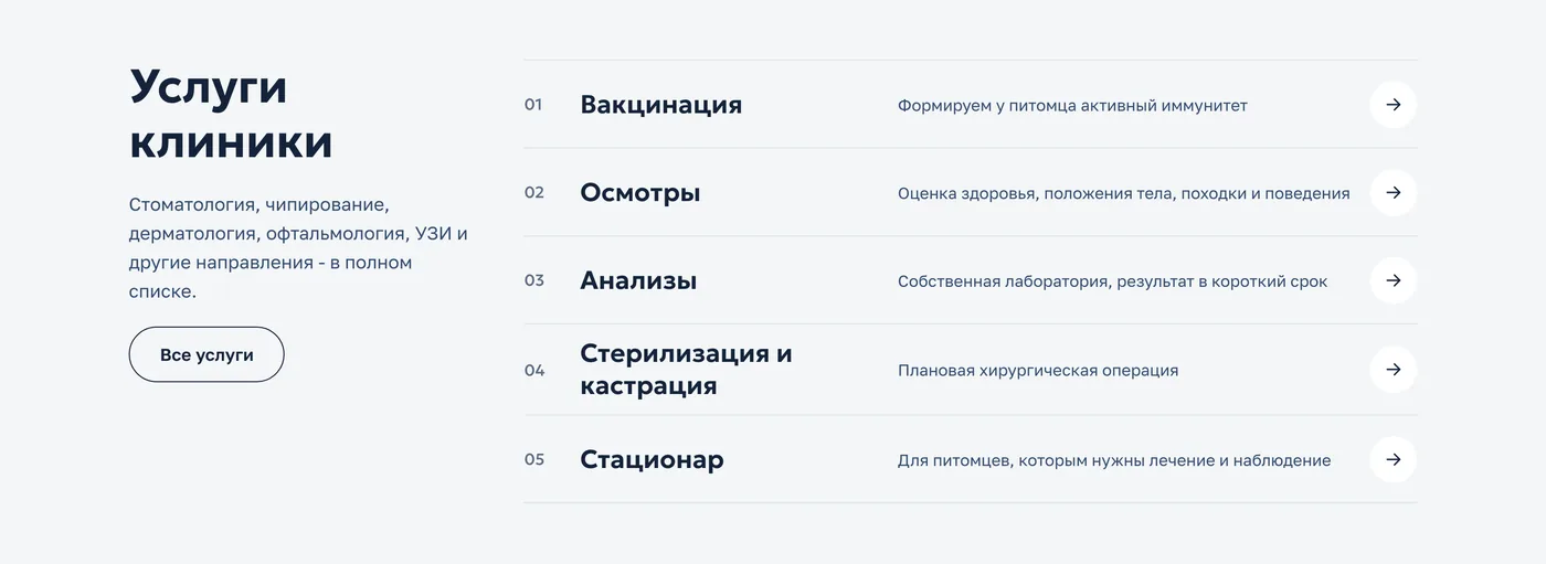 Услуги клиники списком с пояснениями